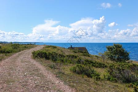 场景杜松库尔曼瑞典奥兰德岛波罗的海沿岸风道途瑞典奥兰岛图片