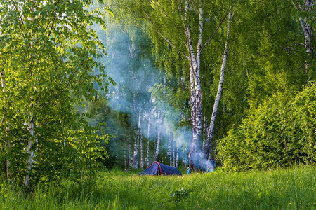 有很多游客在Birch森林游荡和夏日营火的蓝烟雾木头天绿色图片