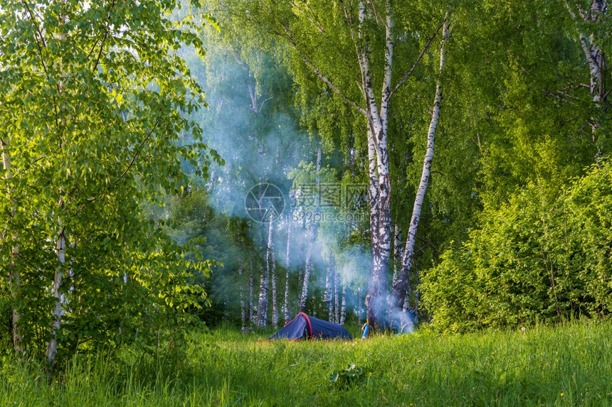 有很多游客在Birch森林游荡和夏日营火的蓝烟雾木头天绿色图片