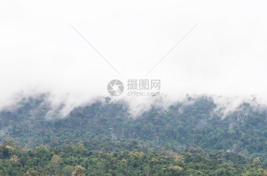 国民谷高山顶雨后的瀑布雾宁静图片