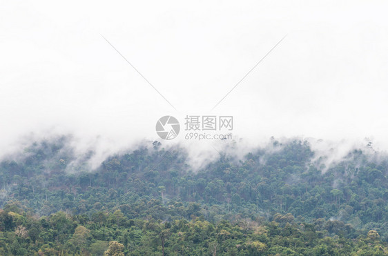 国民谷高山顶雨后的瀑布雾宁静图片