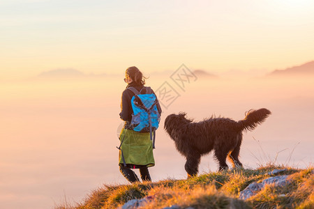猫背包乐趣女人与她的黑牧羊在雾海上山行走图片