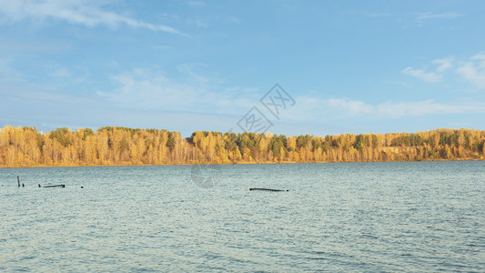 一种浅海在表层的湖泊和对岸蓝天空云雾的秋森林蓝色空与乌云相对蓝色的支撑图片