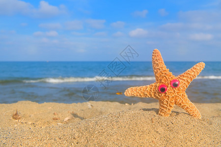 沙滩上可爱的海星图片