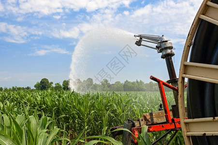 谷物玉米田水喷洒器的泵抽装置在玉米田用水喷洒器现场抽系统景观图片