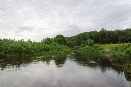 绿色俄罗斯科洛沙河夏季傍晚平静的河流过森林夏天动的图片