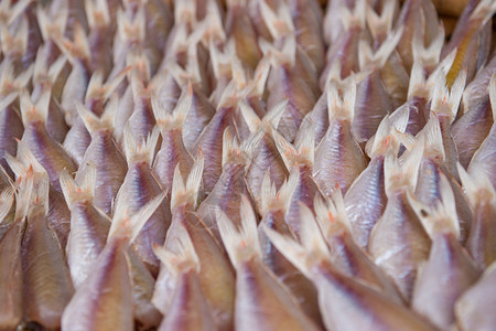 在食品市场上关闭干鱼保存网在食品市场中泰国晒干海图片