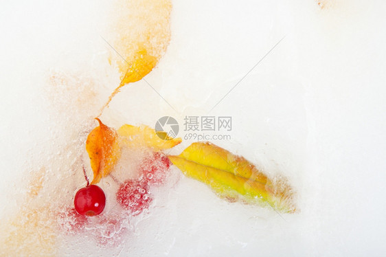 细节美丽的黄叶和红莓夹在冰冷的水池中坑图片