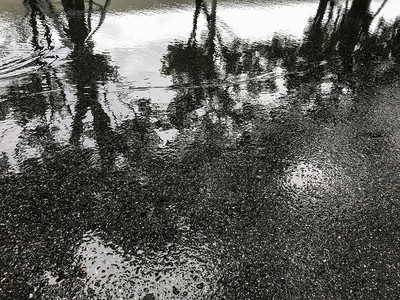 柏油路下雨公园树影反射成人行道阳光阴背景图片