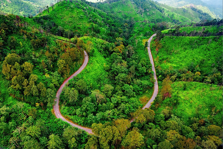 穿越森林地貌的山路上空中观视风景户外天线欧洲图片
