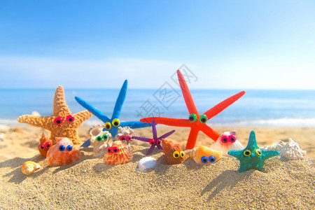 沙滩上可爱的海星图片