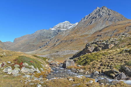 阿尔卑斯山的优美环境图片