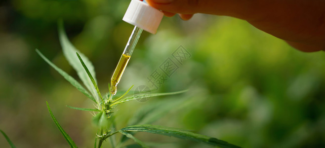 椒麻土鸡萃取有树背景的脂油滴液杂草药物设计图片