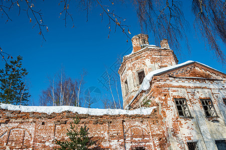 一个古老的石头教堂废墟在阳光寒冬日充满了年轻的毛衣墙桦木天空图片