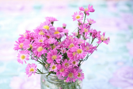 开花以模糊自然背景的玻璃花瓶盛着粉红色束野植物图片