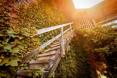 日出未来红色的古老木制楼梯通向灯光上面盖着秋叶图片