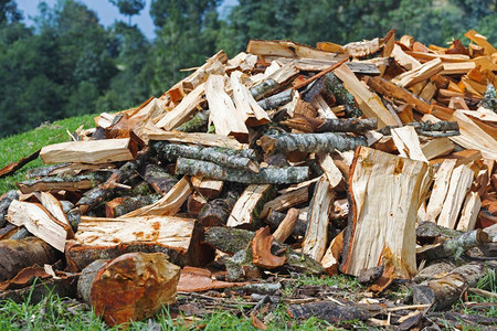 准备农村冬季大约砍木柴的林堆以待冬季寒桩日志图片