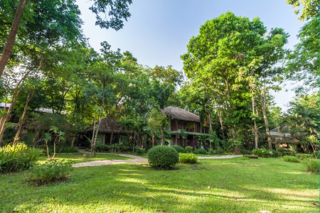 装饰园景沙发绿色花和院子住着小房叶图片