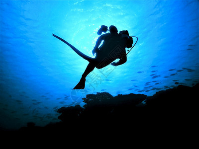 人们学校潜水员的休眠马尔代夫图片