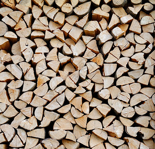 波隆斯基一堆砍木柴的吠乡村图片