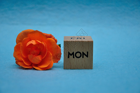 叶子美丽的开花周一缩写用蓝色背景的橙玫瑰在木块上写着图片