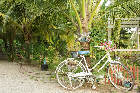 装饰风格浪漫的循环配花装饰自行车图片