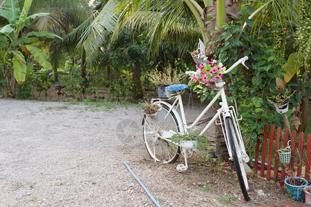 公园车轮配花装饰的自行车复古图片