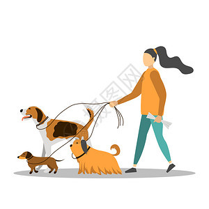 品种小狗年轻妇女与一起行走矢量插图乐趣图片