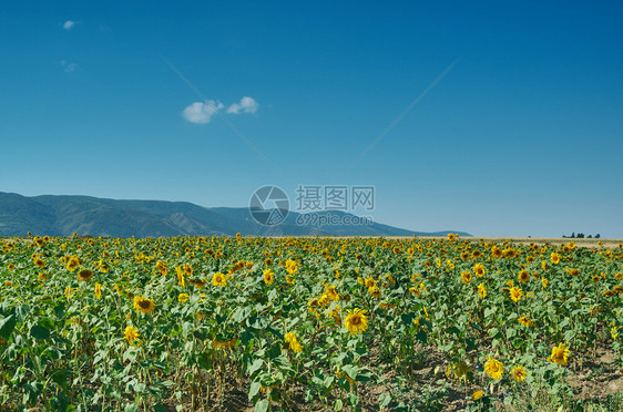 吉尔斯坦西部贾拉勒阿巴德地区山公路道丝绸蛇纹石图片