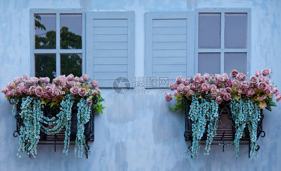 老的门户14蓝色墙上的紧闭窗口和花朵家图片