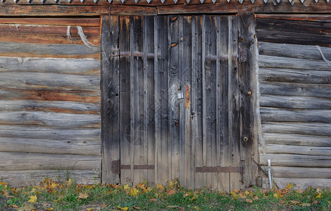 未上漆在俄罗斯村一个木棚的旧肮脏没有油漆的木门日志肮脏的图片