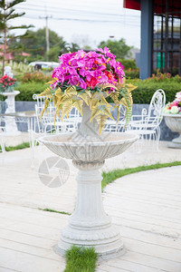 春天屋花盆装满了树木和花盆中的朵放在园里装修艺图片