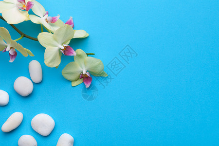 蓝色背景花朵上有兰的斯帕石头复制空间岩石治疗禅图片