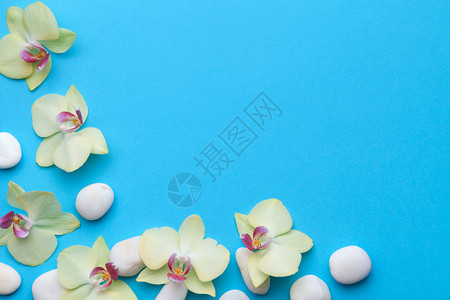 治疗按摩蓝色背景花朵上有兰的斯帕石头复制空间蓝色的图片