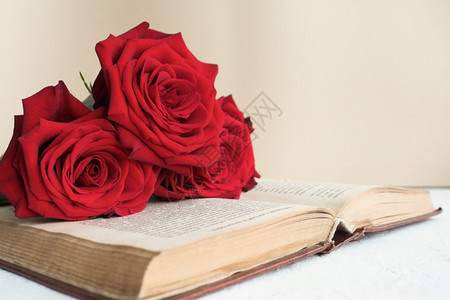 三朵红玫瑰花放在蜜蜂背景分析空间桌上的一张旧书小说老的棕色图片