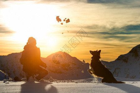 夕阳下和女孩玩耍的狗狗图片