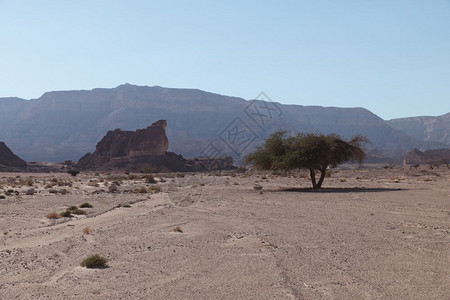 结石埃拉特假期位于IsraelTimna公园内临时的岩石和沙子图片