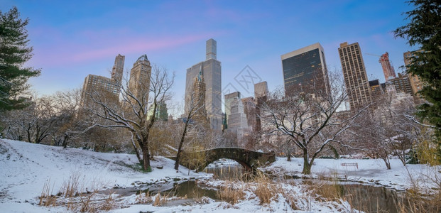 植物花园冬天美国纽约中央公园冬季加普斯托桥图片