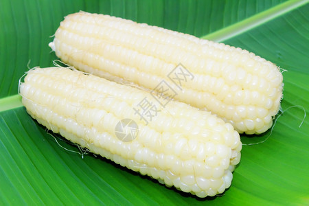 煮熟的玉米图片
