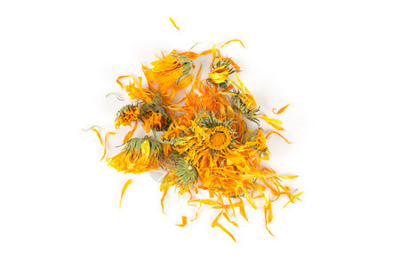 流水线黄色的Calendulula流化茶用于白底注入万寿菊图片