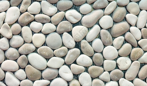 装饰店采样用小型石块墙圆形的自然图片