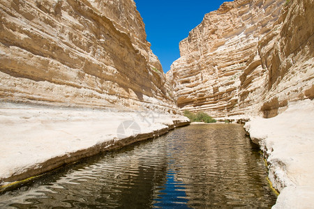 内盖夫沙漠中的CanyonEinAvdat峡谷沙岩墙流淌的淡水以色列多岩石的结图片