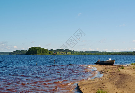 树森林俄罗斯Kenozero湖地区公园图片