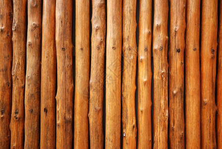 自然质地松树木纸墙控制板图片