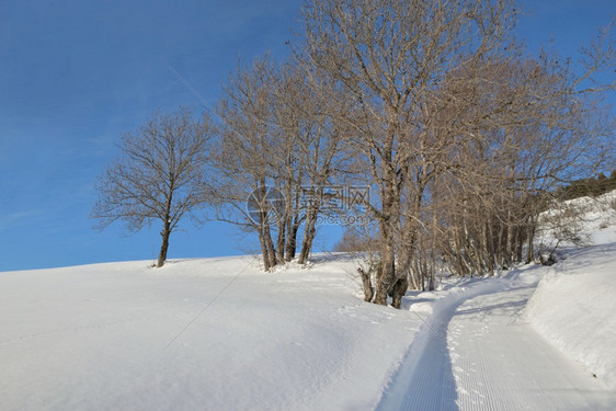 雪山上的滑雪道图片