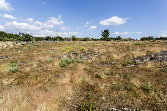 全景或者葡萄牙BeiraAlta的FornosdeAlgodres附近岩石上割断了20多头或埋葬地的福克拉达州早期中世纪内科罗波图片