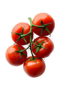 白种树枝上的水果和蔬菜新鲜红西番茄孤立于白种背景营养成熟农业图片