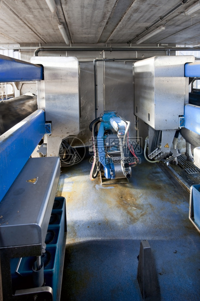 技术室内挤奶机器人有两个平行的海湾在奶牛农场给挤稳定的电子产品图片