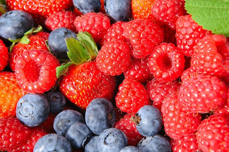 各种季节草莓包括蓝草和贝利黑色的有机山莓图片