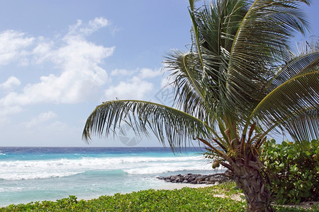 靠近加勒比巴多斯布里奇敦的热带海岸水安的列斯群岛全景图片